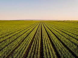 website_media_image_agriculture website_media_image_agriculture