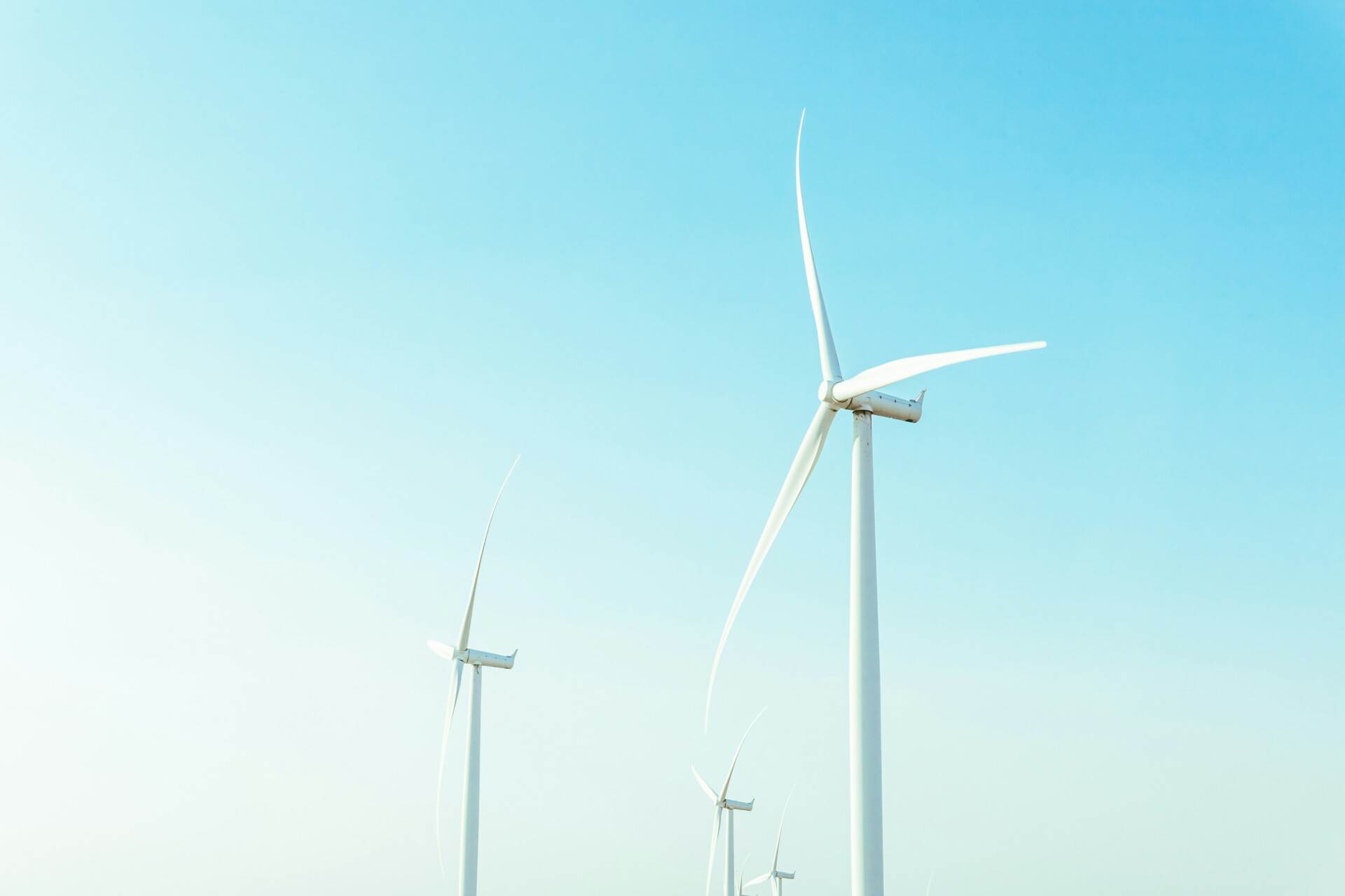 levan-badzgaradze-ze-pePgkLjg-unsplash